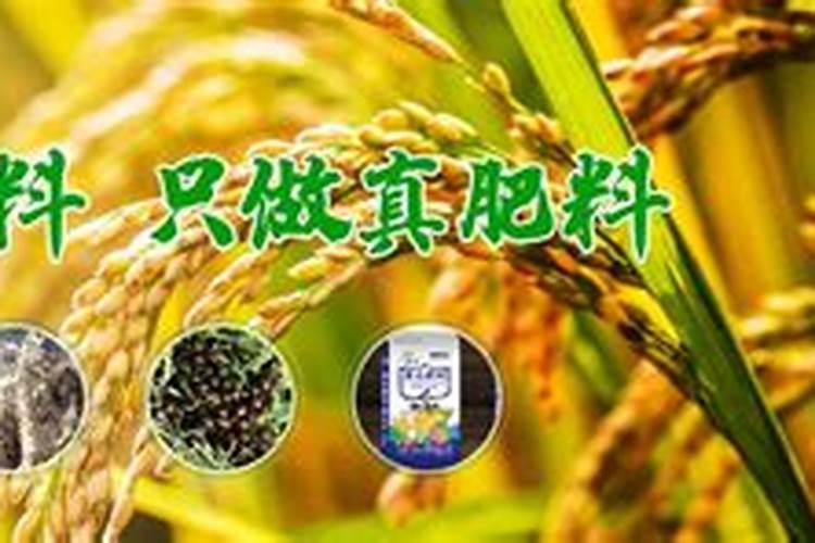 化肥生产厂家地址电话号码是多少？