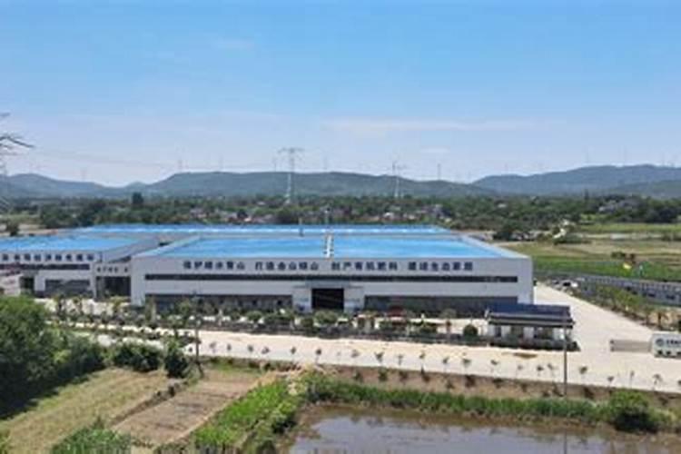 龙岩正规化肥厂家联系方式电话？