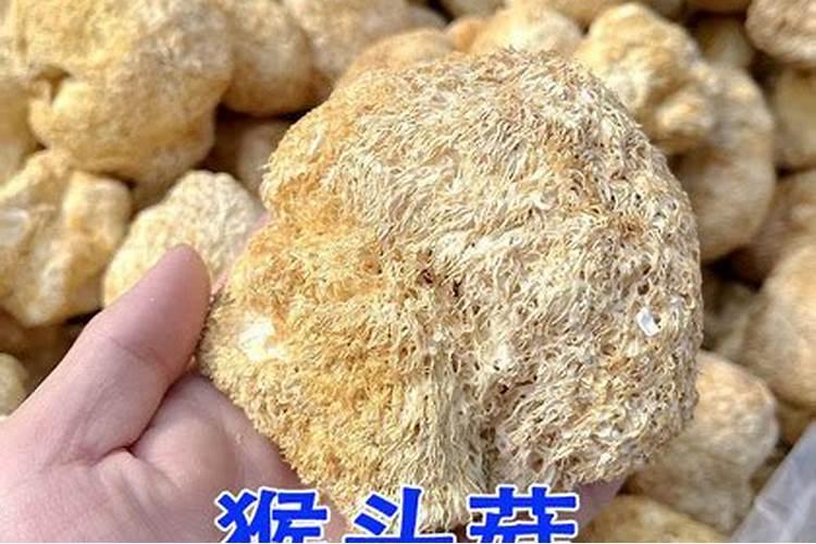 随州微生物肥料可分为多少钱一亩猴头菇？