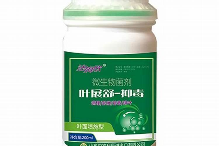 微生物菌剂叶面喷施正确用法