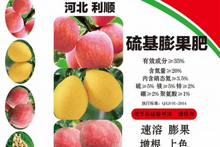 江门果树专用肥料哪种好？