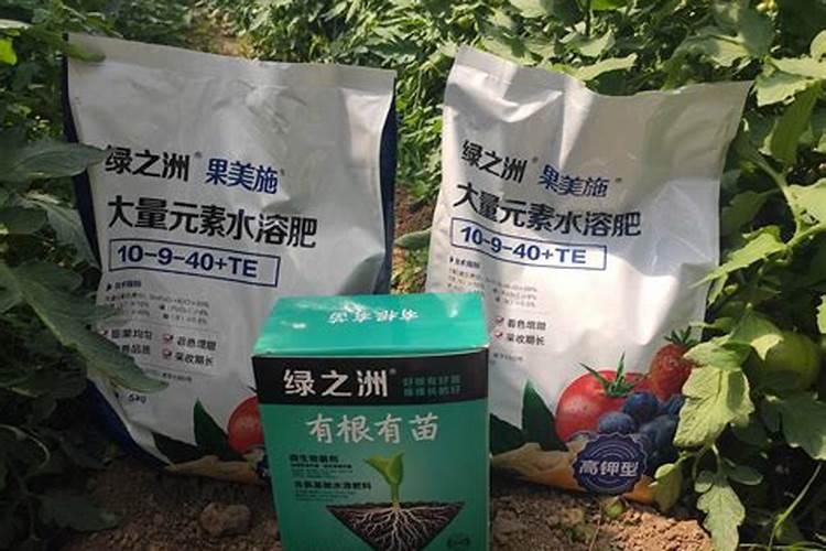 最大的水溶肥厂家在哪里有？