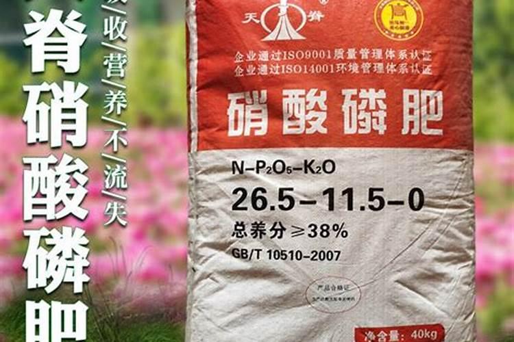 银杏树复合肥有哪些种类西北？
