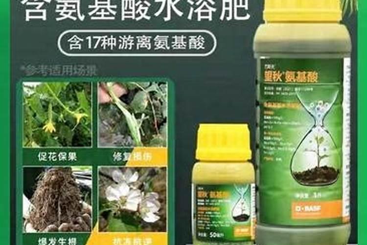 正规原装进口水溶肥批发价格