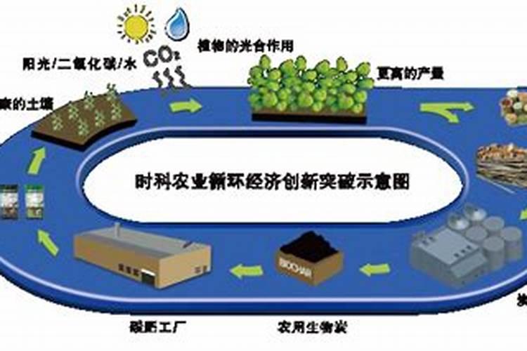应用生物肥料的产量