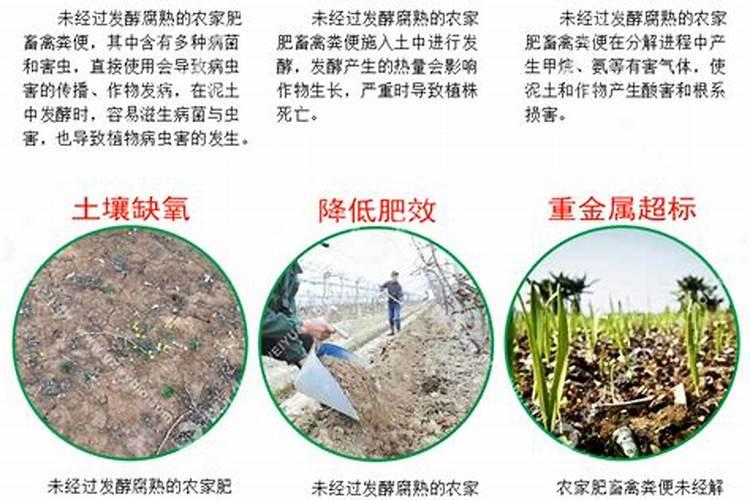 发酵菌种生物有机肥的种类