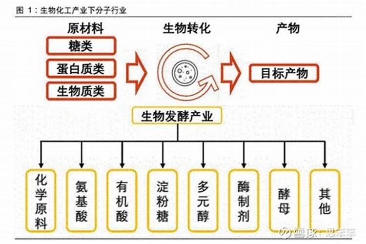 通用发酵剂的用途和特点