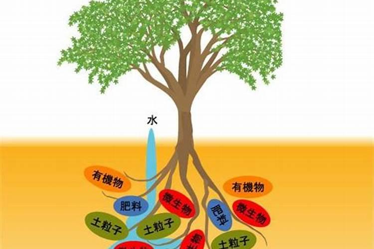 紫薯微生物肥料的作用和方法？