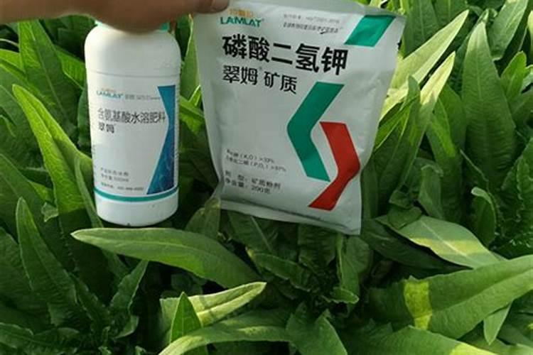 叶面肥的正确使用方法？