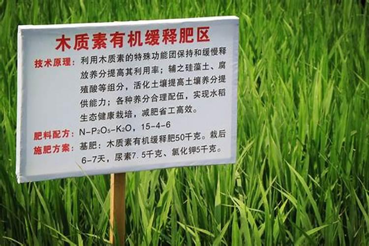 有机缓释肥料的正确方法2025？