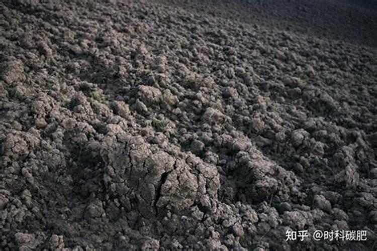 微生物菌肥正确使用方法,微生物菌肥有用吗？