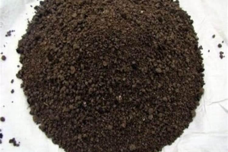 常用生物肥料有哪几种类型？