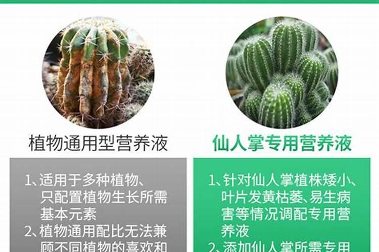 国产缓释肥哪个品牌好一点仙人球？