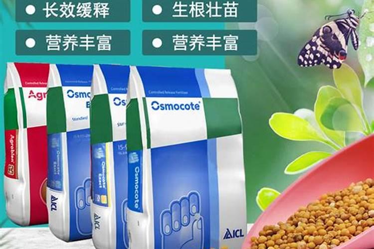 绿奥缓释肥效果怎么样福州？