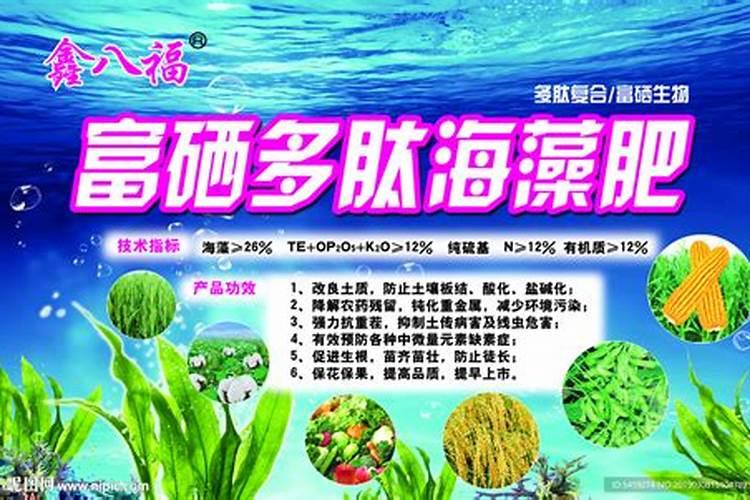 海藻富硒肥