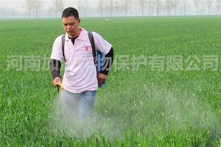 瓜蒌叶面施肥的优点,你有哪些了解呢？
