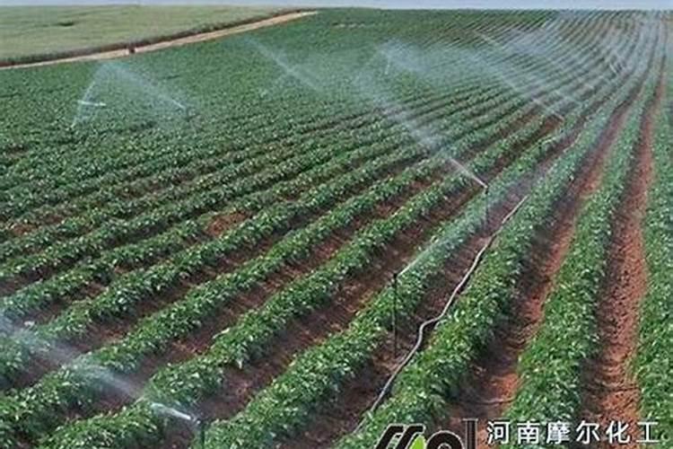 水溶肥一吨相当于多少斤肥料呼和浩特？