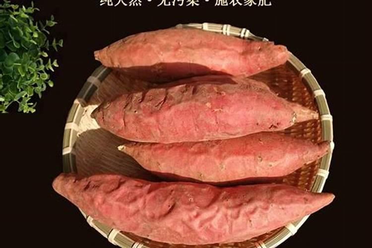 烟薯25的种植技巧有哪些？
