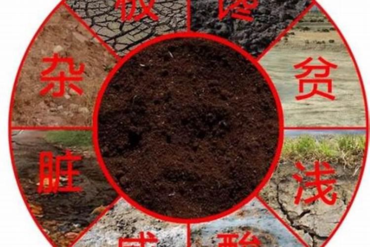 杭州微生物肥料的作用主要表现？