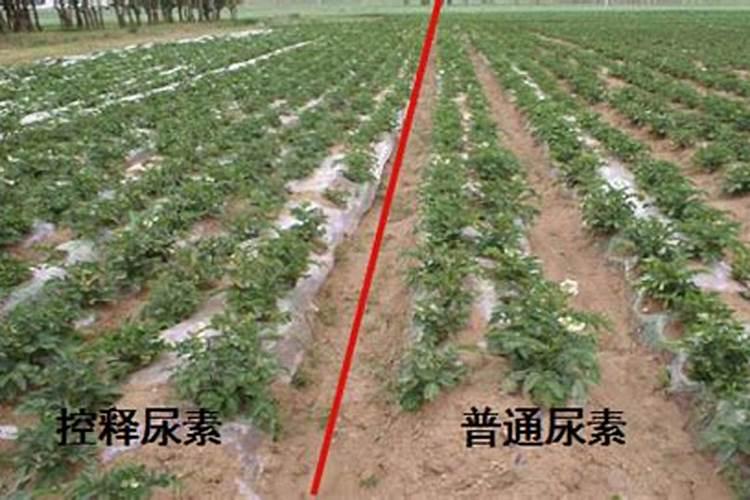 缓释肥是什么原理？