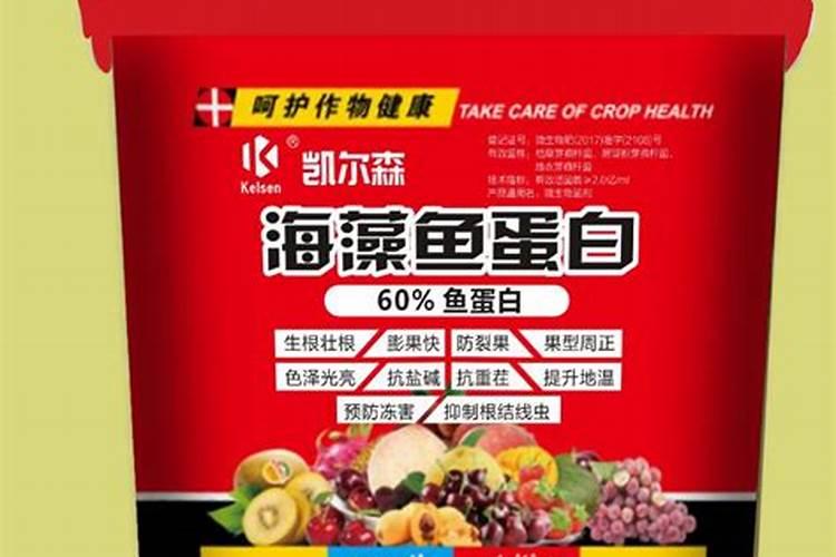 黑河海藻鱼蛋白肥料的优缺点
