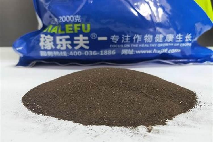 生产化肥厂家排行榜前十兰花