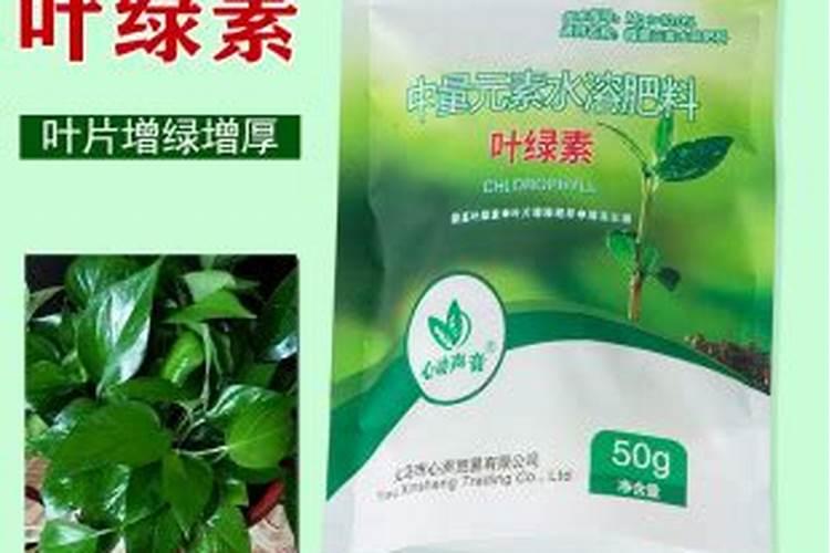 水溶肥厂家源头工厂是哪里生产的七里香？