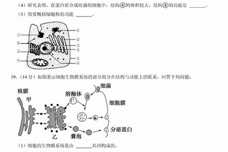 烤烟的近义词