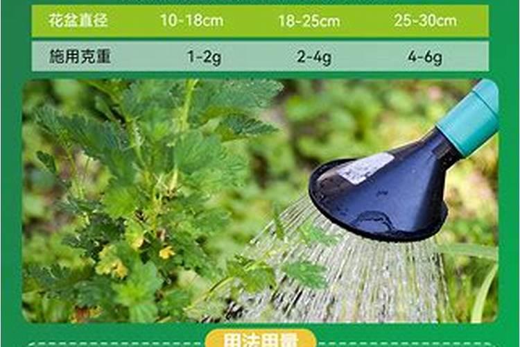 2025控释肥适合什么植物花卉用好？