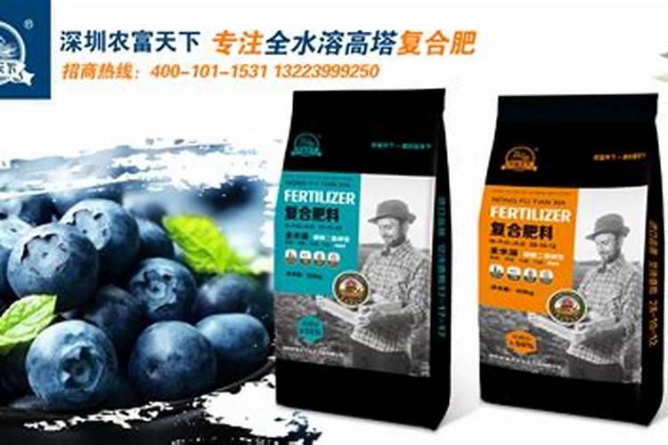 三沙海藻肥怎么施蓝莓效果最好？