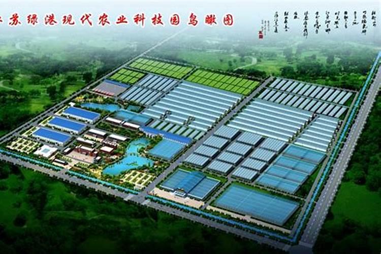河北中雍农业科技发展有限公司怎么样？