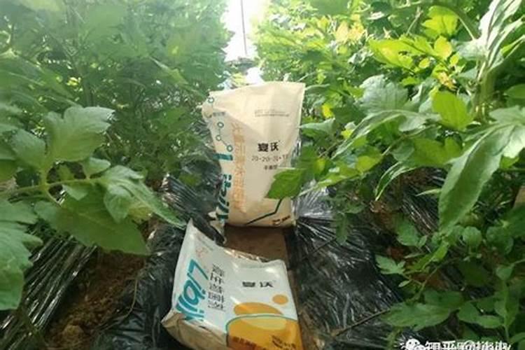 含钙镁的大量元素水溶肥料怎么配？