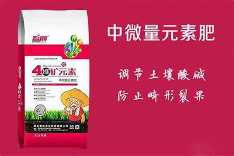 常见微量元素肥料的施肥要点杨梅