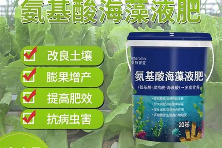 氨基酸海藻肥冲施效果怎么样？