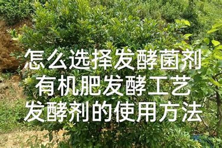 有机肥发酵剂的使用方法