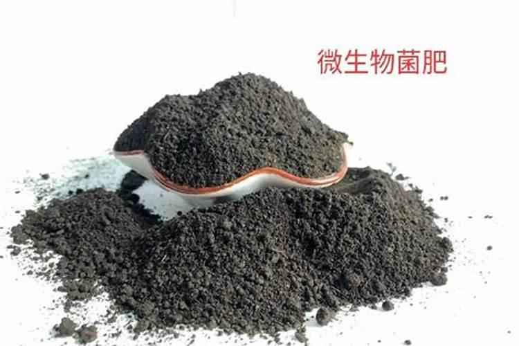 高碑店微生物肥料的应用范围是什么？