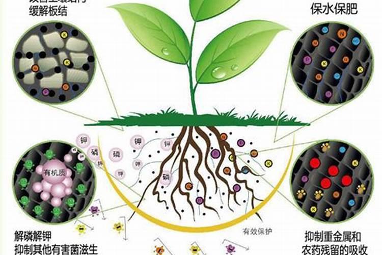 微生物菌肥的好处？