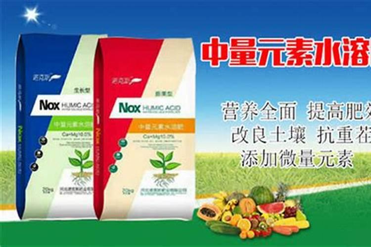 白萝卜微量元素肥料的施用技术有哪些湖南？