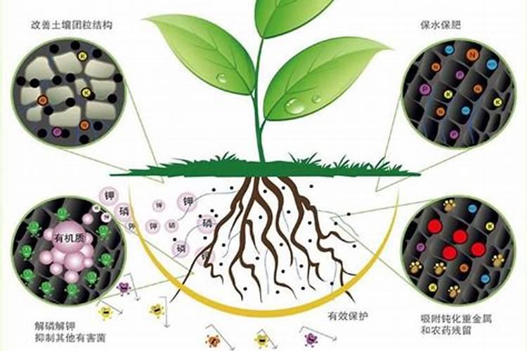 海洋奇力生物菌肥作用