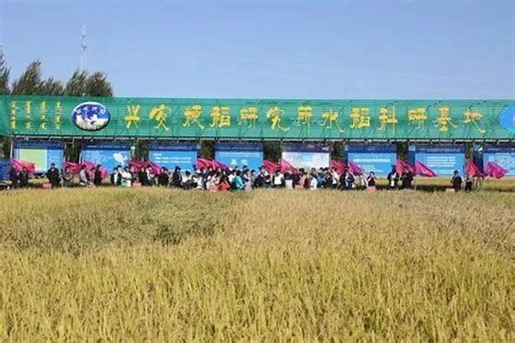 兴安盟水稻缓释肥的害处有哪些方面？