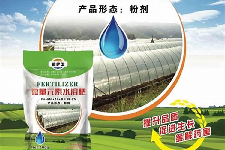 微量元素水溶肥料生产厂家排名