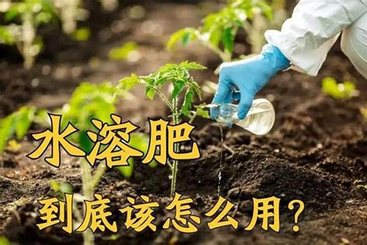 水溶肥料是什么原料做的