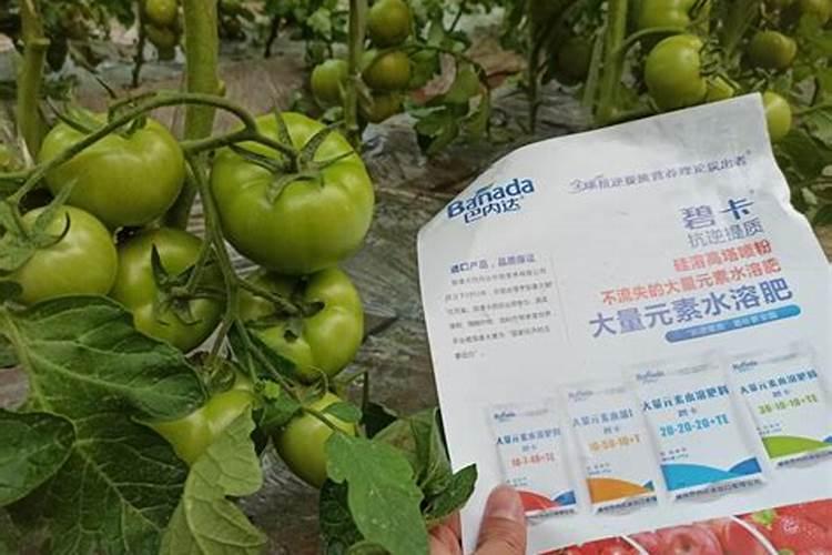 12一5一40水溶肥配方,使用方法及产品功效