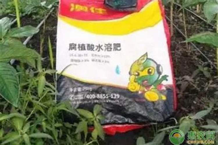 含腐植酸水溶肥料使用方法