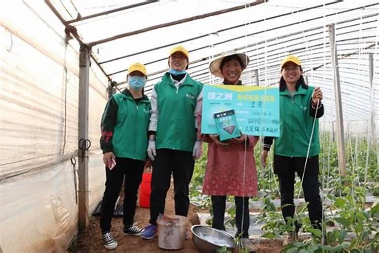 大量元素水溶肥用法用量