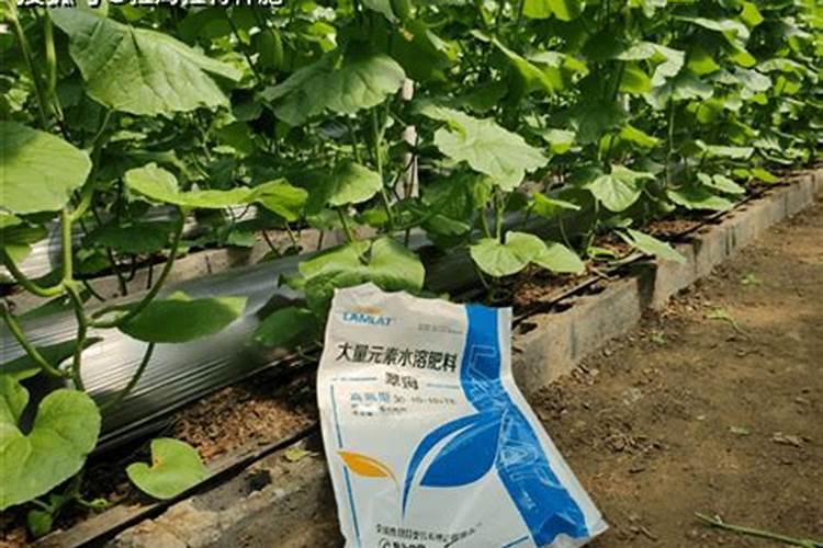 大量元素水溶肥怎么施用