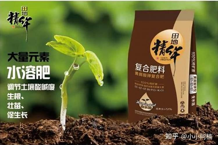 茶园颗粒肥和水溶肥哪个好用？