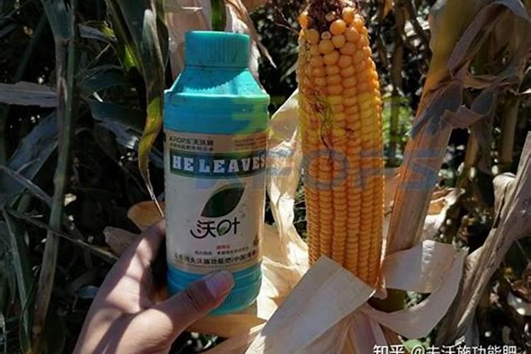 玉米打了叶面肥还用追肥吗为什么？
