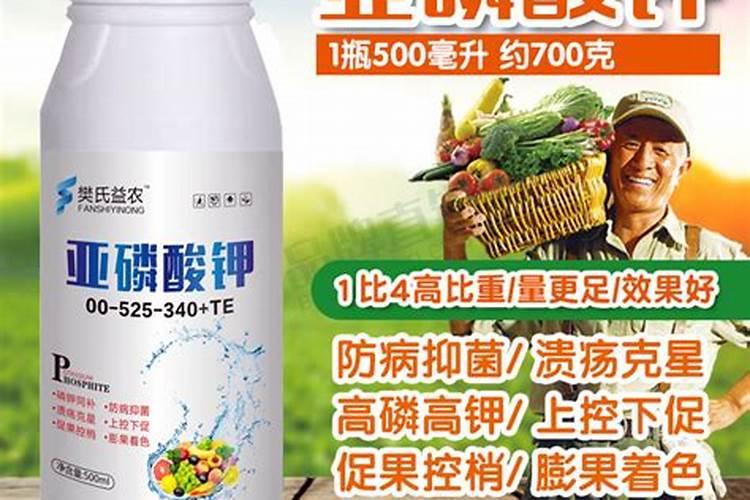 亚磷酸钾用在果树控旺在什么时期使用效果更好？