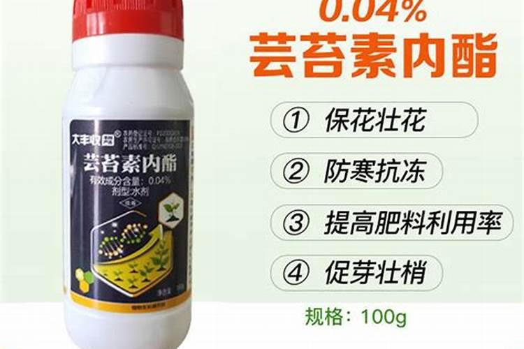 芸苔素内酯是属于水剂吗还是固体？